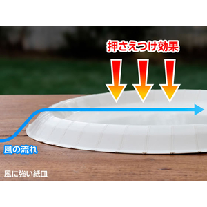 サンナップ 風に強いペーパープレート 21cm 5枚 FCJ020L-P2105KSNP-イメージ9