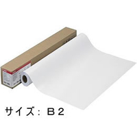 キヤノン フォト半光沢紙HG(薄口)/LFM-SGH/B2/170[4380B009] F888064-4380B009