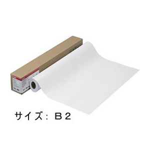 キヤノン フォト半光沢紙HG(薄口)/LFM-SGH/B2/170[4380B009] F888064-4380B009-イメージ1
