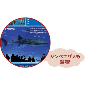 アーテック わくわくすいぞくかんすごろく FC346NK-2618-イメージ5