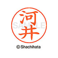 シヤチハタ ネームペン用ネーム シルバー 既製 河井 FC46561-X-GPS-0790