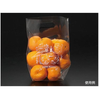 パックスタイル スタンドバッグ No.2B 100枚 FC049SH-00506562