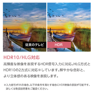 オリオン ORION 50型スマートテレビ OLS50RD20-イメージ3