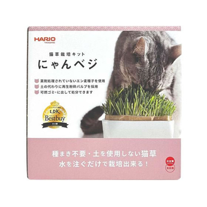 ハリオ商事 猫草栽培キット にゃんベジセットN FCE380V-イメージ1