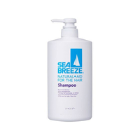 ファイントゥデイ シーブリーズ シャンプーf 本体 600mL FCE858H