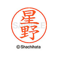 シヤチハタ ネームペン用ネーム シルバー 既製 星野 FC47551-X-GPS-1780