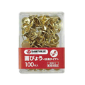 スマートバリュー 画鋲 足長タイプ 100本 FC29240-B391J