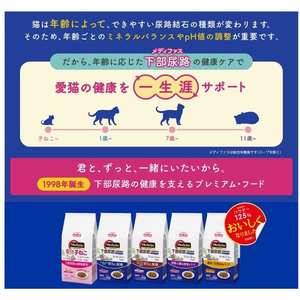 ペットライン メディファス 1歳から チキン味 150g FCE794T-MFD-92-イメージ3
