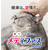 ペットライン メディファス 1歳から チキン味 150g FCE794T-MFD-92-イメージ2