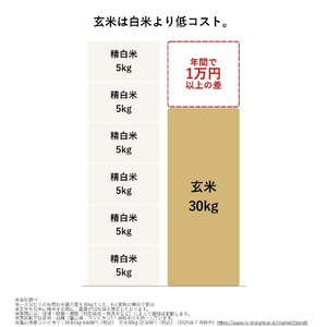 山本電気 i-rice ブラック YE-RC25A-BK-イメージ6