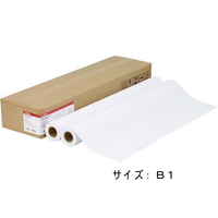 キヤノン プレミアム普通紙/LFM-PPP/B1/80[8154A020] F888073-8154A020