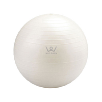 エディオンネットショップ アルインコ Fcb48wbn030 エクササイズボール 30cm