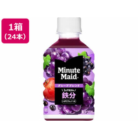 コカ・コーラ ミニッツメイド グレープブレンド 鉄分 280mL 24本 FCE870H-53495
