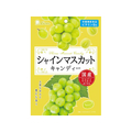 ライオン菓子 シャインマスカットキャンディー 71g FCJ717N