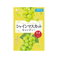 ライオン菓子 シャインマスカットキャンディー 71g FCJ717N