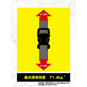 トラスコ 耐衝撃樹脂バックル付結束ベルト　２５ｍｍ TLB-WG-KB25-イメージ3