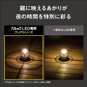 パナソニック パルックLED電球 クリアシリーズ 5．1W (電球色相当) LDA5LC4-イメージ9