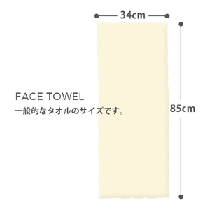 浅野撚糸 エアーかおる エクスタシー フェイスタオル グルー 750041ｴｸｽﾀｼ-ﾌｴｲｽﾀｵﾙｸﾞﾙ--イメージ2