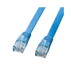 格安 新品 未使用 業務用 LA-FL5-CB100 超フラットケーブル LAN サンワダイレクト本店 サンワサプライ【オフィス・PC周辺通販】