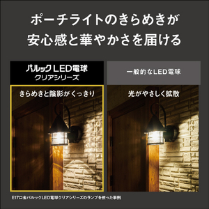 パナソニック パルックLED電球 クリアシリーズ 8．1W (電球色相当) LDA8LC6-イメージ6