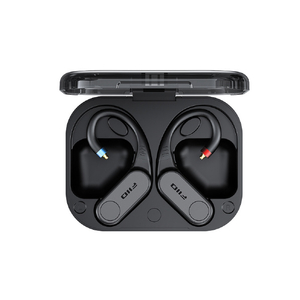 FIIO FIO-UTWS17-B Bluetoothレシーバー FIO-UTWS17-B-イメージ2
