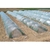 イノベックス POフィルム1.35×20m 透明 FC665GW-1153524-イメージ3