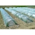 イノベックス POフィルム1.35×20m 透明 FC665GW-1153524-イメージ4