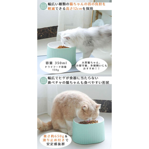 ペットプロジャパン HappyDays ラージボウル グリーン FCE800T-C-F-006-GR-イメージ4