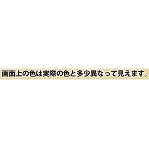 カンペハピオ KANSAI/ハピオシールプロ HGパウチ アイボリー 100ML FC380EV-1527276-イメージ2