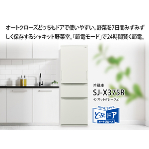 シャープ 【両開き】374L 3ドア冷凍冷蔵庫 どっちもドア冷蔵庫 マットグレージュ SJ-X375R-C-イメージ15