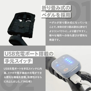 PELTECH 【電動アシスト自転車】X-adventure 36Vセンターモーターモデル 外装6段 折り畳みモデル カーキ TDN-246L-KH-イメージ4
