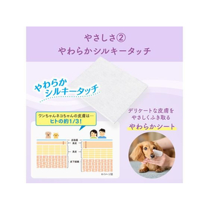 大王製紙 肌にやさしいウエットティシュー ノンアルコール除菌60枚×3P FC679NW-イメージ3