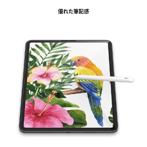 araree iPad(第9/8/7世代)用SUBCORE 抗菌強化ガラスフィルム AR22234-イメージ14