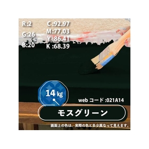 カンペハピオ 水性シリコン遮熱屋根用 モスグリーン 14K FCB398M-イメージ8