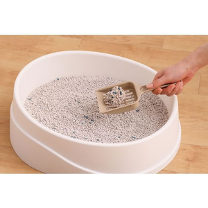 アイリスオーヤマ クリーンサンド 5L ボタニカルソープの香り FC293PV-CLS-5LB-イメージ5
