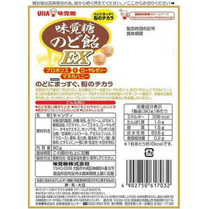 UHA味覚糖 味覚糖のど飴EX 90g FCR7575-イメージ2