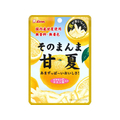 ライオン菓子 そのまんま甘夏 25g FCJ724N