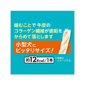 ペティオ プラクト 歯みがきデンタルガム 小型犬 ハード 95g FCC9268-イメージ5