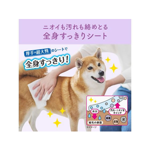 大王製紙 キミおもい 全身すっきりシート 中型犬用 20枚 FC682NW-イメージ5