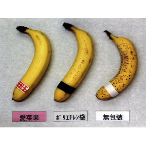 関西紙工 ニプロ 鮮度保存袋 愛菜果 M 6枚入 FC177TF-イメージ6