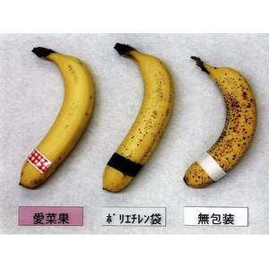 関西紙工 ニプロ 鮮度保存袋 愛菜果 M 6枚入 FC177TF-イメージ7