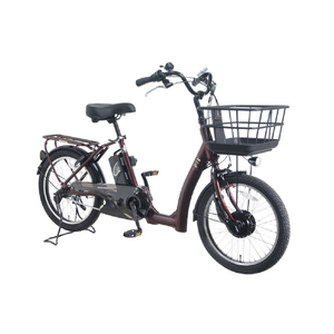 PELTECH ローステップ20型 電動アシスト自転車 内装3段変速 レッド TDN-209L-R-12AH-イメージ2