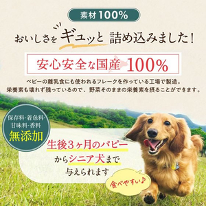 ペットプロジャパン HappyDays 大地からの贈り物 素材100%野菜フレーク じゃがいも 35g FCE806T-イメージ5