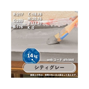 カンペハピオ 水性シリコン遮熱屋根用 シティグレー 14K FCB401M-イメージ8