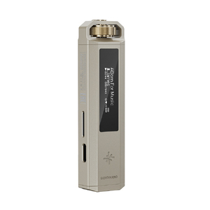 FIIO Snowsky ECHO NANO Titanium Gold FIO-SSENANO-G-イメージ2