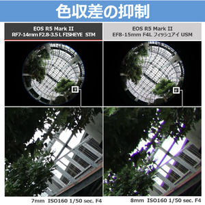 キヤノン RF7-14mm F2．8-3．5 L FISHEYE STM RFレンズ RF714LFESTM-イメージ8