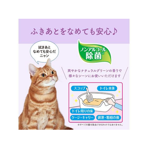 大王製紙 徹底キレイおそうじシートナチュラルグリーンの香り26枚×2 FC683NW-イメージ5