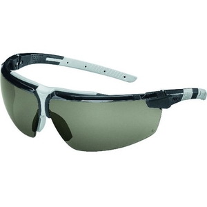 uvex UVEX/一眼型保護メガネ アイスリー 9190281 FC737XR-8366624-イメージ1