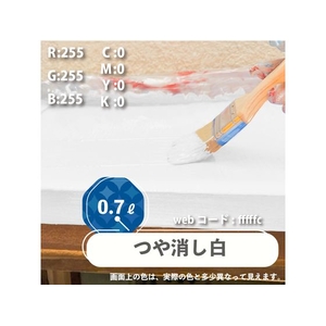 カンペハピオ 水性シリコン遮熱屋根用 専用下塗り剤 0.7L FCB402M-イメージ3