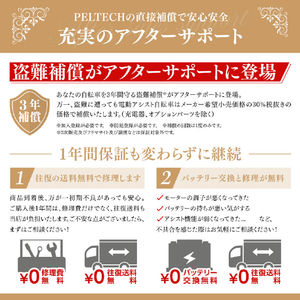 PELTECH ローステップ20型 電動アシスト自転車 内装3段変速 ネイビー TDN-209L-NYB-12AH-イメージ13